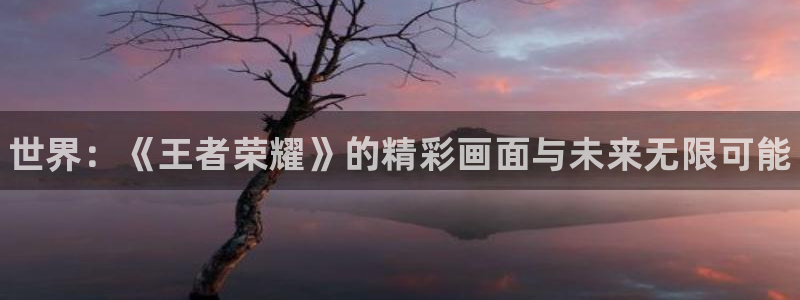 辉达娱乐登陆地址：世界：《王者荣耀》的精彩画面与未来无限可能