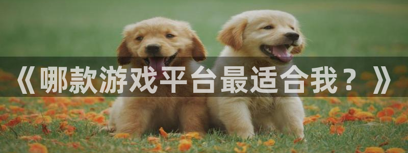 辉达娱乐平台登录：《哪款游戏平台最适合我？》