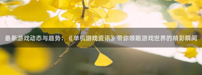 辉达娱乐平台官方网站：最新游戏动态与趋势：《单机游戏资讯》带