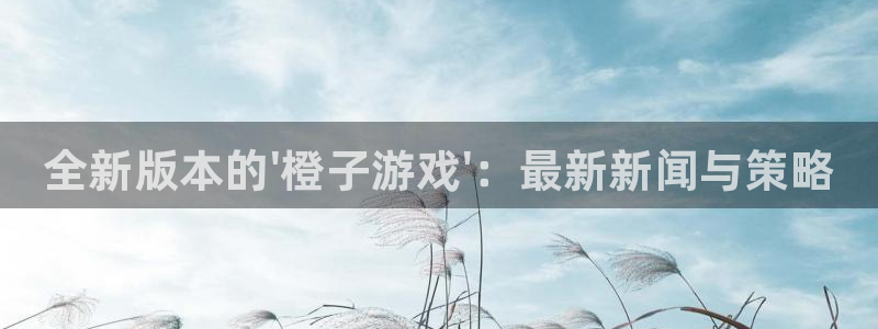 辉达娱乐怎么注册：全新版本的\'橙子游戏\'：最新新闻与策略