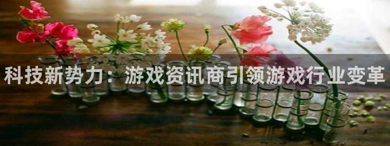 辉达娱乐平台官网客服电话：科技新势力：游戏资讯商引领游戏行业
