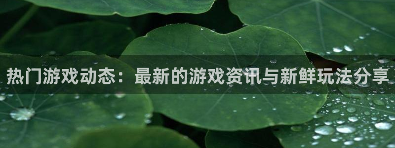 辉达娱乐登陆地址：热门游戏动态：最新的游戏资讯与新鲜玩法分享