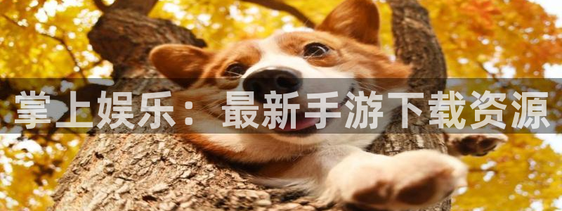 辉达娱乐平台登录线路：掌上娱乐：最新手游下载资源