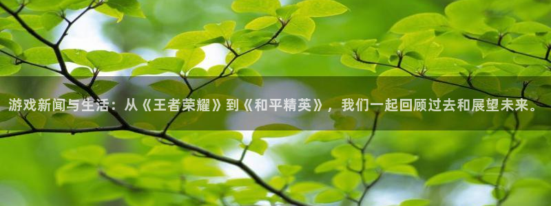 辉达娱乐代理登陆：游戏新闻与生活：从《王者荣耀》到《和平精英