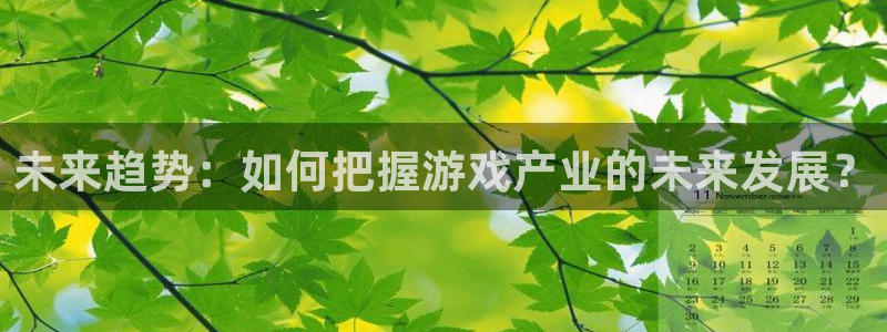 辉达娱乐登陆：未来趋势：如何把握游戏产业的未来发展？