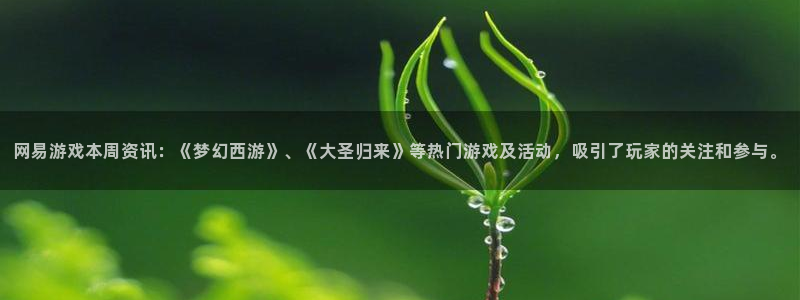 辉达娱乐线路测试：网易游戏本周资讯：《梦幻西游》、《大圣归来