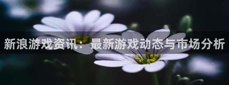 辉达娱乐登陆地址：新浪游戏资讯：最新游戏动态与市场分析