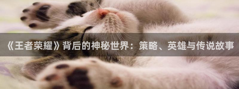 辉达娱乐娱乐：《王者荣耀》背后的神秘世界：策略、英雄与传说故