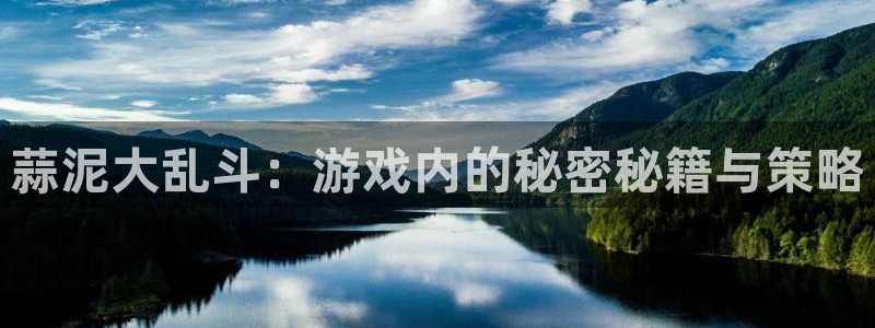 辉达娱乐平台负责人：蒜泥大乱斗：游戏内的秘密秘籍与策略