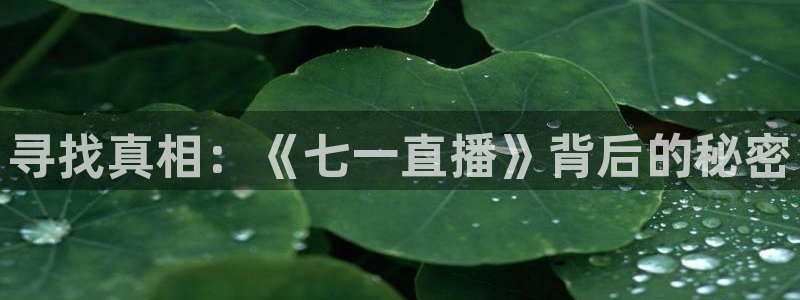 178直播体育赛事直播：寻找真相：《七一直播》背后的秘密