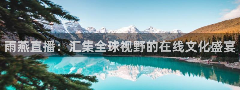178直播足球直播官网：雨燕直播：汇集全球视野的在线文化盛宴