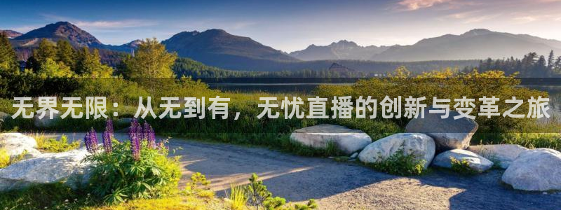 178直播免费足球直播入口：无界无限：从无到有，无忧直播的创新与变革之旅
