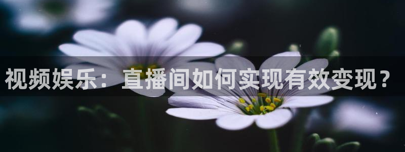 足球直播178：视频娱乐：直播间如何实现有效变现？