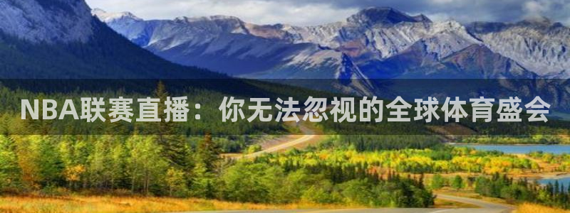 178体育直播免费观看入口：NBA联赛直播：你无法忽视的全球体育盛会