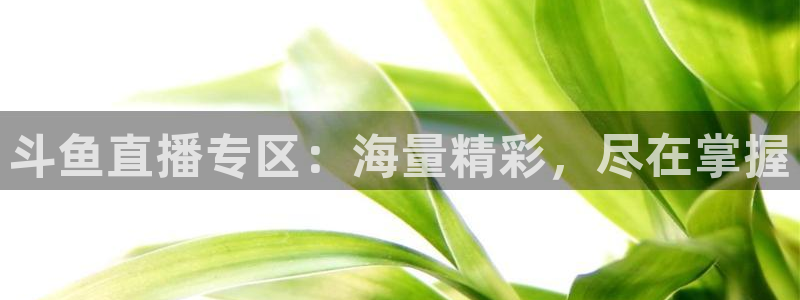 178体育篮球直播在线观看：斗鱼直播专区：海量精彩，尽在掌握