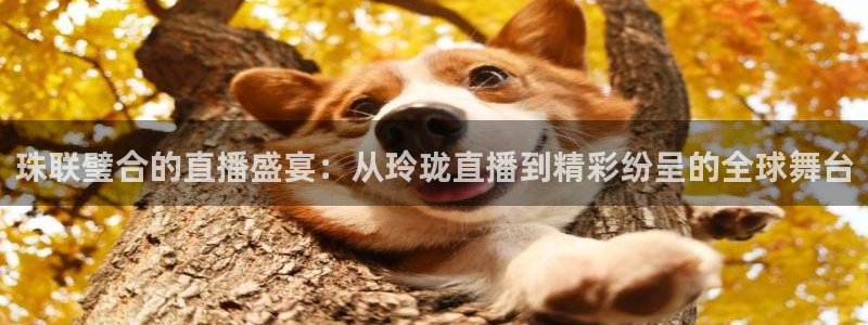 nba 178直播：珠联璧合的直播盛宴：从玲珑直播到精彩纷呈的全球舞台