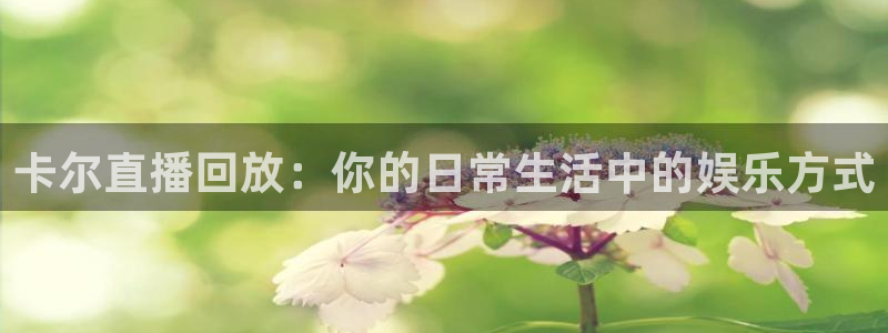 足球178直播在线观看免费：卡尔直播回放：你的日常生活中的娱乐方式