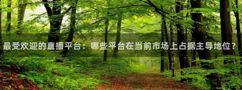 足球直播在线直播观看免费178：最受欢迎的直播平台：哪些平台在当前市场上占据主导地位？